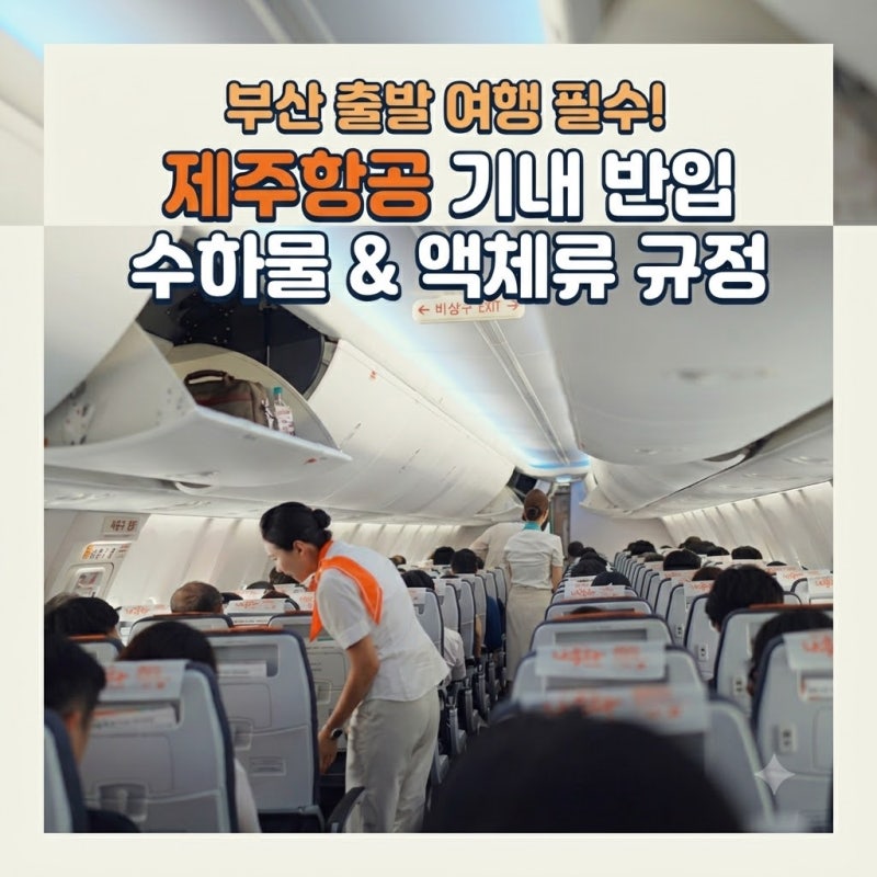 부산 출발 여행 필수! 제주항공 기내 반입 수하물 및 액체류 규정 완벽 가이드