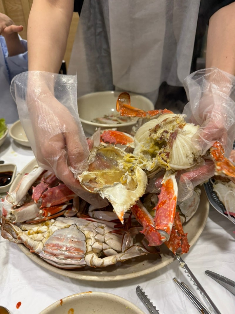 노량진수산시장 식당 추천｜24시 전라도식당 2층 16호 + 청해진·진주식당 비교