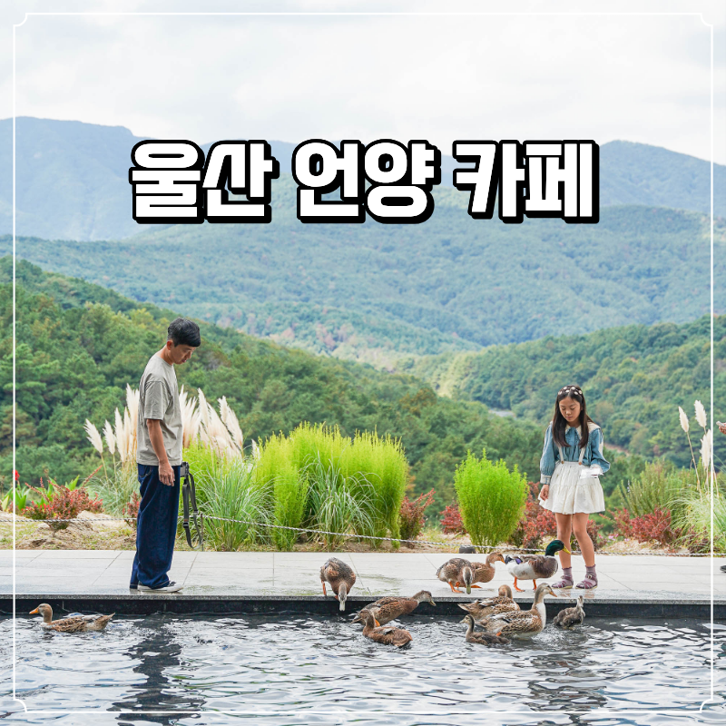 부산 근교 아이와 가기 좋은 곳 울산 언양 대형 카페 나인힐 베이커리 오리 사슴 먹이주기 체....
