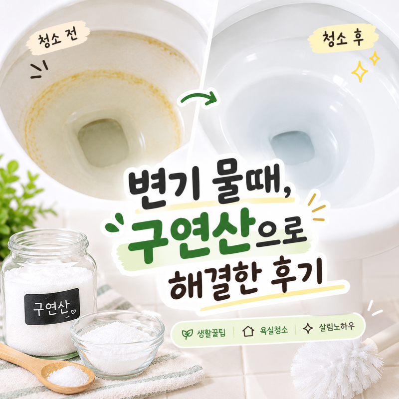 변기 물때 구연산으로 해결한 후기