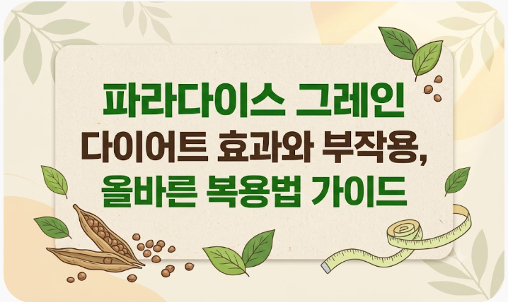 파라다이스 그레인 다이어트 효과와 부작용, 올바른 복용법 가이드