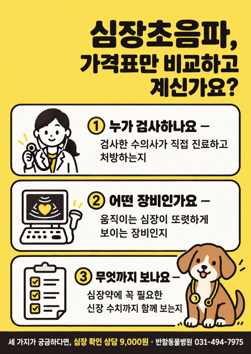 강아지 심장초음파 비용, 아는 보호자님들은 가격보다 이것부터 확인합니다.