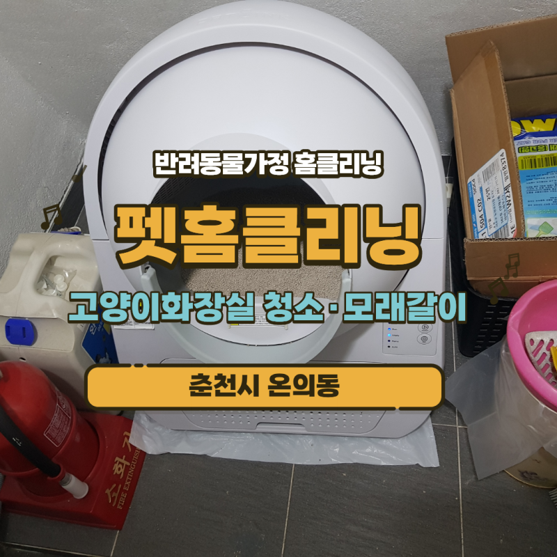 춘천시 온의동 고양이털청소 냄새제거 반려동물특수청소 전문 업체│고양이화장실 청소·모....