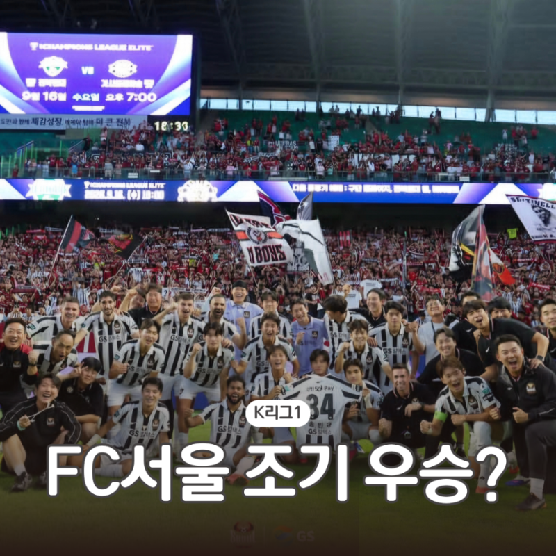 FC서울 우승 경우의 수 승점 10점, 스플릿 전 조기우승 남은 경기 일정 및 K리그1 순위 정리