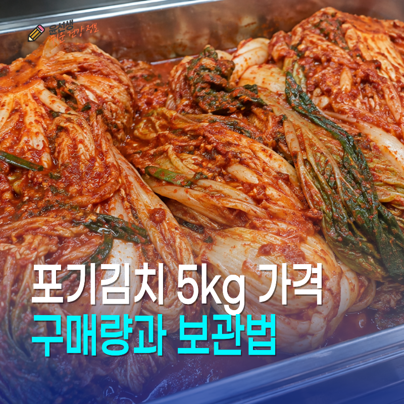 포기김치 5kg 가격, 구매량과 보관법 선택 기준