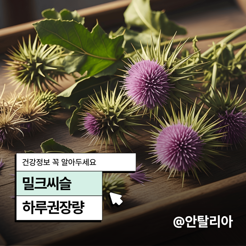 아침부터 피곤한 날, 밀크씨슬 하루 권장량 얼마나 챙기면 될까?