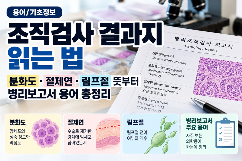 조직검사 결과지 읽는 법, 분화도·절제연·림프절 뜻부터 병리보고서 용어 총정리