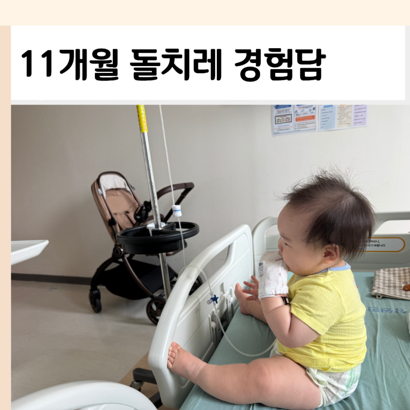 돌치레 증상 아기 돌발진 열꽃 차이 생후 11개월 입원 경험담