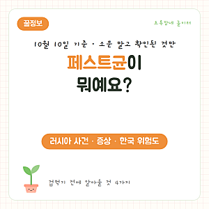 페스트균이 뭐예요? 러시아 연구원 사망 사건 총정리｜증상·치료·한국 위험도 (10월 10일 기....