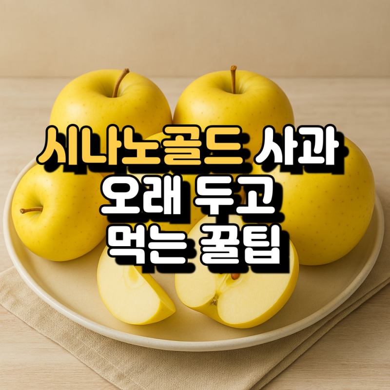 시나노골드 사과 수확시기 맛 보관법 오래 두고 먹는 꿀팁, 시사노스위트와 다른점