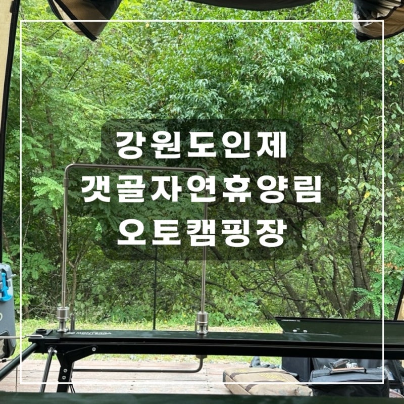 [강원도 인제] 갯골자연휴양림 B5사이트후기ㅣ강원도오토캠핑장 인제캠핑장 강원도캠핑장 ....