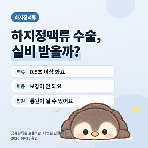 하지정맥류 수술 실손보험 2026, 역류 0.5초가 기준이에요