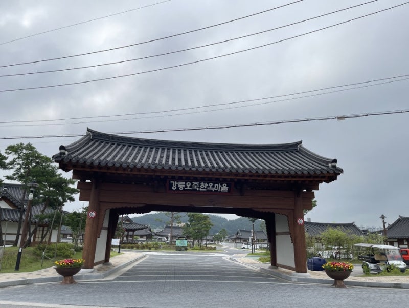 강릉이 제일 익숙하다던 이서진, 서장훈 앞에서 "내 실수야" 진땀 뺐는데 결국 웃음 터진 반....