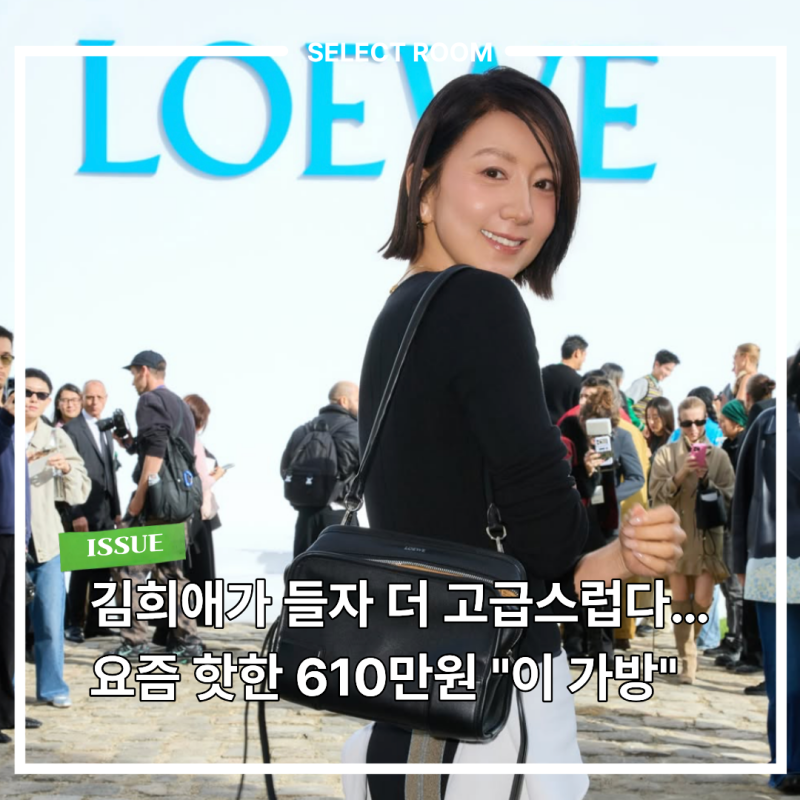 김희애가 드니 고급스러운 로에베 가방 뭘까? 4050 명품백으로 추천