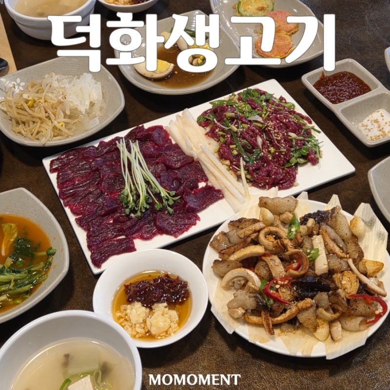 대구 황금동 맛집 덕화생고기 뭉티기 육회 양지오드레기 A세트 후기