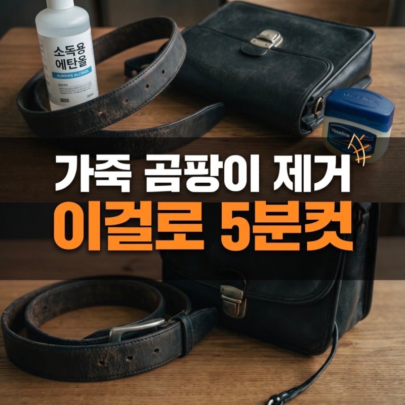 가죽 벨트 가방 곰팡이 제거법 소독용 에탄올 살균과 바셀린 코팅으로 가죽 살리기
