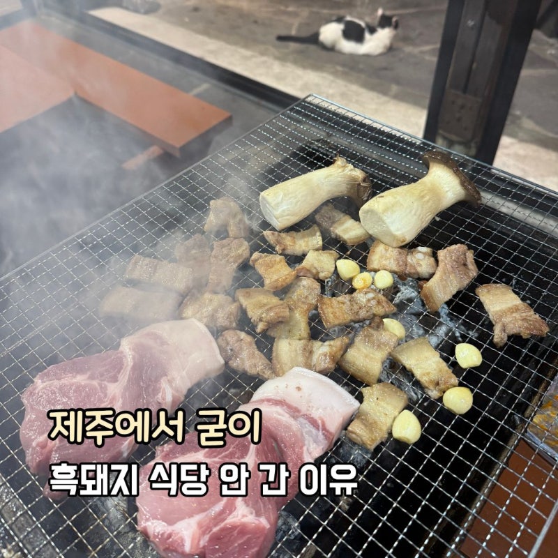 제주 한림 하나로마트 장보기, 외식 대신 숙소에서 고기 구워 먹은 이유