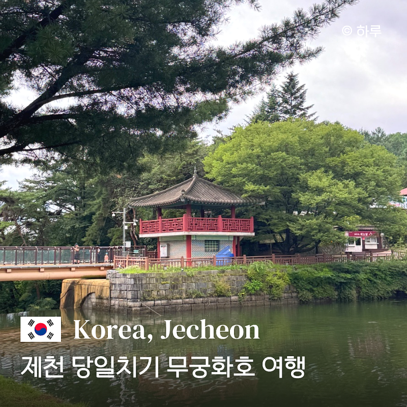 서울 근교 뚜벅이 당일치기 무궁화호 제천 1인 5만원 가성비 여행 후기