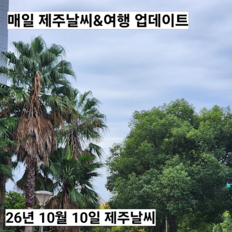 10월 10일 제주도 날씨 서귀포 실시간 옷차림 구름 낀 쌀쌀한 가을 날씨 한라산 주말예보
