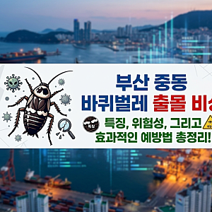 "암컷 한마리가 350마리 낳는다는데.."강한 번식력 중동 바퀴벌레 부산 상륙해