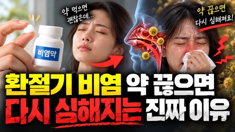 환절기 비염 약 끊으면 다시 심해지는 진짜 이유