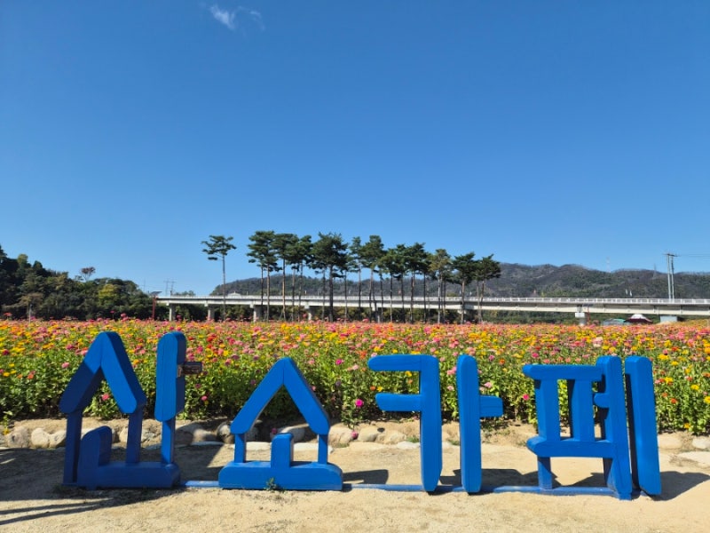 경북 산소카페 청송정원 ㅣ백일홍 가득한 청송 정원 ㅣ10월 청송 여행 후기