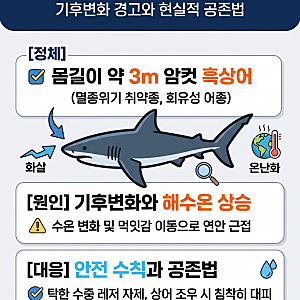 부산 북항 상어 ‘부캉이’ 출현이 던진 기후변화 경고와 현실적 공존법(+상어 만났을때 대....