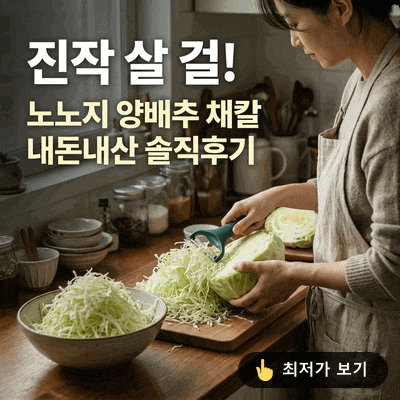 "진작 살 걸" 노노지 양배추 채칼 | 내돈내산 솔직후기