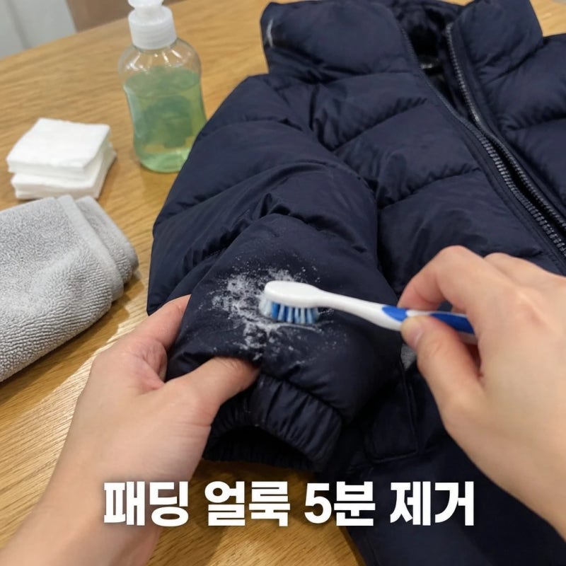 패딩얼룩지우는법, 집에서 주방세제 하나로 목깃 화장품까지 싹 지웠어요