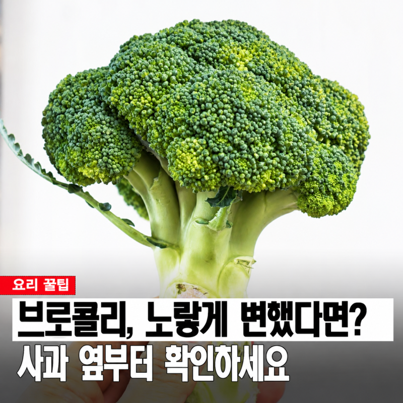 브로콜리 냉장고에 넣었는데 왜 노랗게 변할까? 꽃봉오리 살리는 보관법