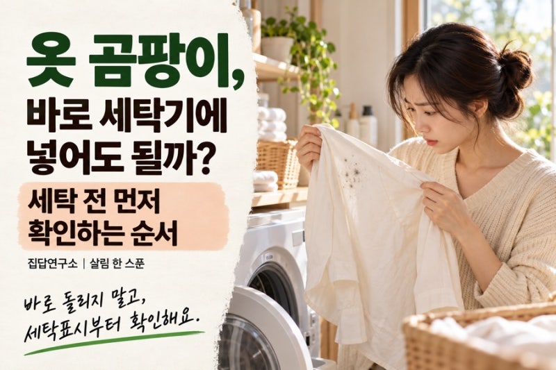 옷 곰팡이, 바로 세탁기에 넣어도 될까? 세탁 전 확인하는 처리 순서