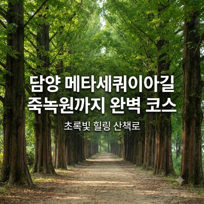 담양 메타세쿼이아길 죽녹원에서 즐기는 삼림욕 코스