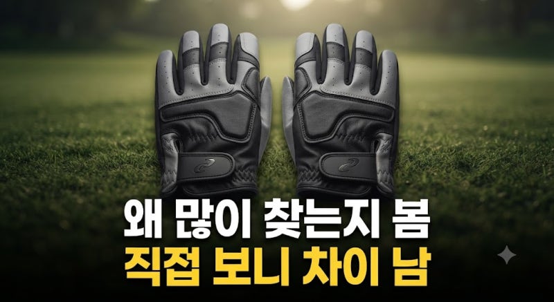 파크골프 장갑 양피 합피 비교 추천 남여 양손 장갑 구매 전 필독