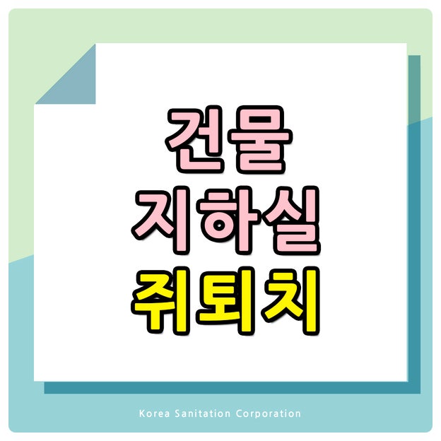 건물 지하실 쥐 퇴치 방치하면 건물 전체로 번집니다