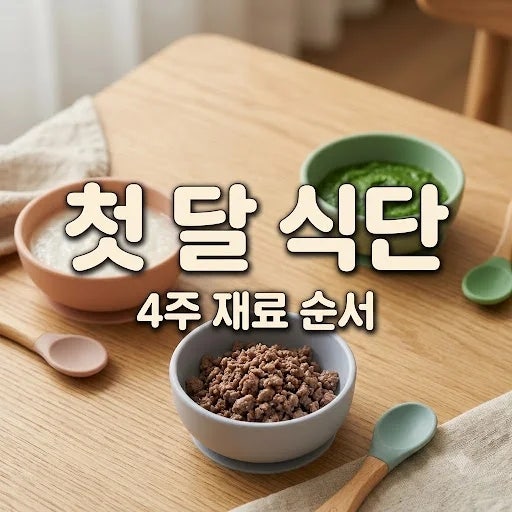 초기이유식 식단표 4주 완성, 첫 달 재료 순서와 양 총정리