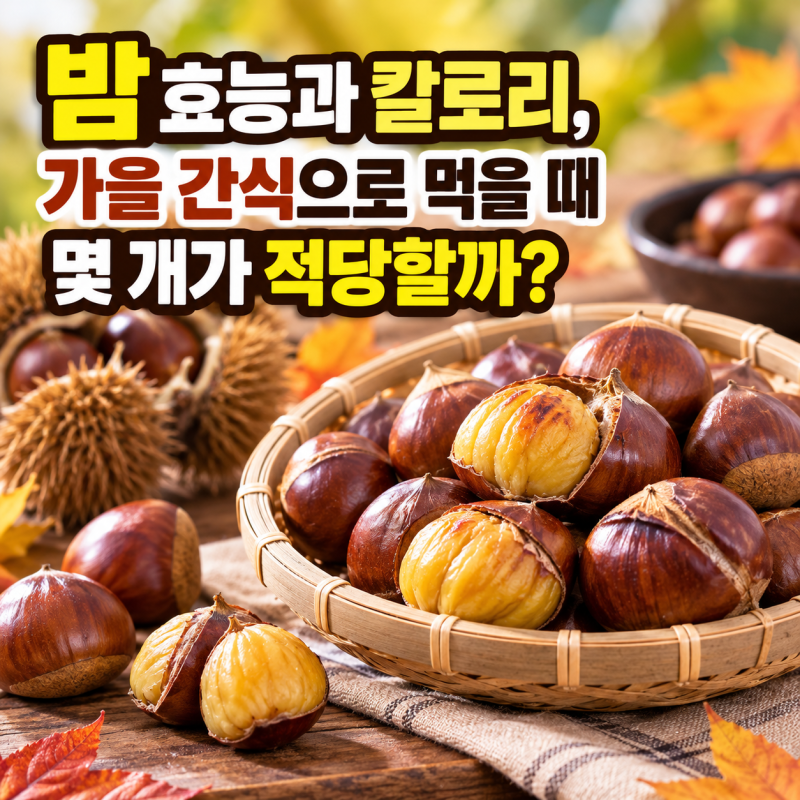 밤 효능과 칼로리, 가을 간식으로 먹을 때 몇 개가 적당할까?
