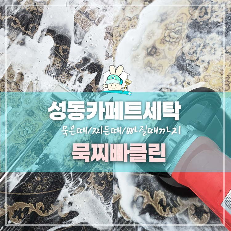 성동 카페트세탁, 상황에 알맞는 카펫청소 주기 정하는 방법은?