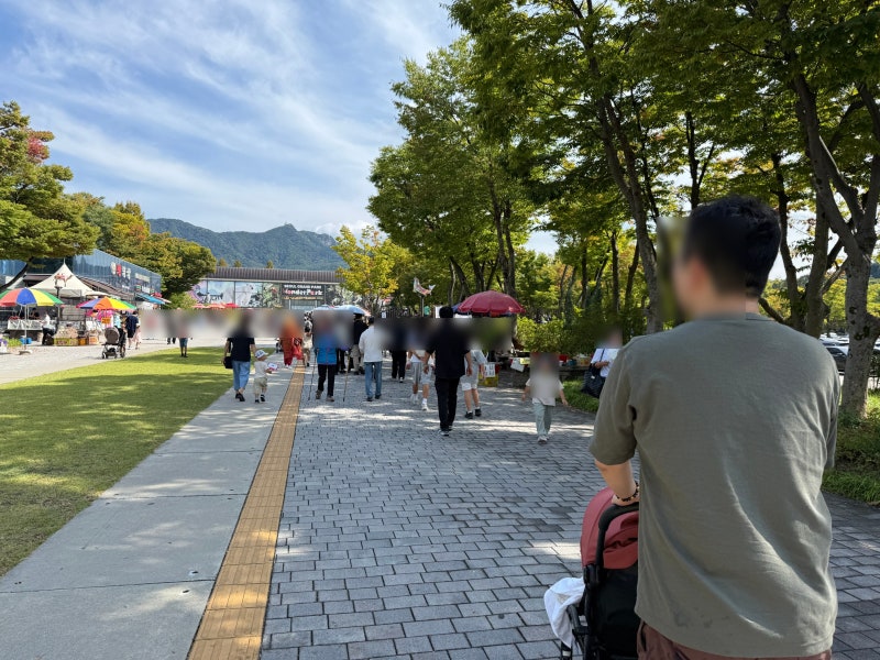 서울대공원 동물원｜ 6개월 아기랑 방문 후기 주차 꿀팁, 수유실 위치, 코끼리열차, 입장료 ....