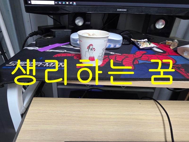 횡재수가 찾아오는 생리하는 상황별 꿈 해몽 생리하는 꿈 기대하시라!