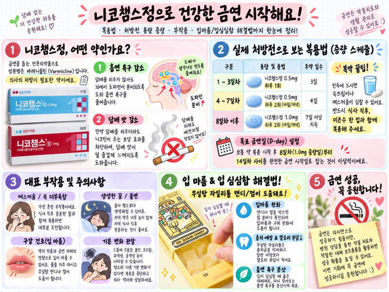 금연치료제 니코챔스 처방전 용법·부작용 정리 (ft. 금연 입마름·입심심 완화 꿀팁)