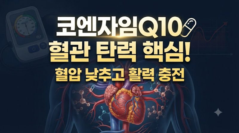 혈압 높고 피로한 고혈압 전단계 필수, '코엔자임Q10(코큐텐)'의 혈관 탄력 효과