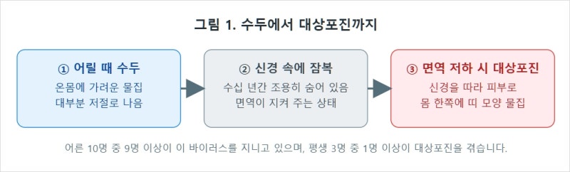 대상포진, 이것만은 꼭 알아두세요 - 환자분과 가족을 위한 안내