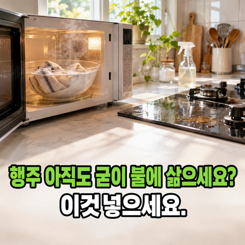 행주 아직도 굳이 불에 삶으세요? 이것넣고 전자레인지에 딱 5분 넣었더니...