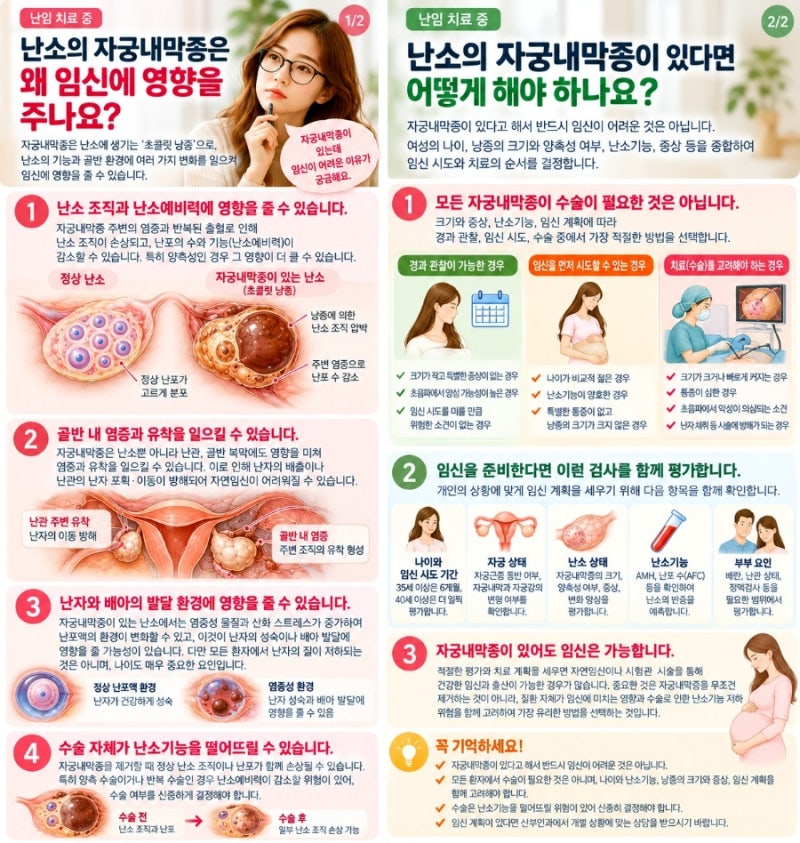 자궁내막종은 왜 임신에 많은 악영향을 주나요? ㅡ 자궁내막종과 난소기능의 관계, 자연임....