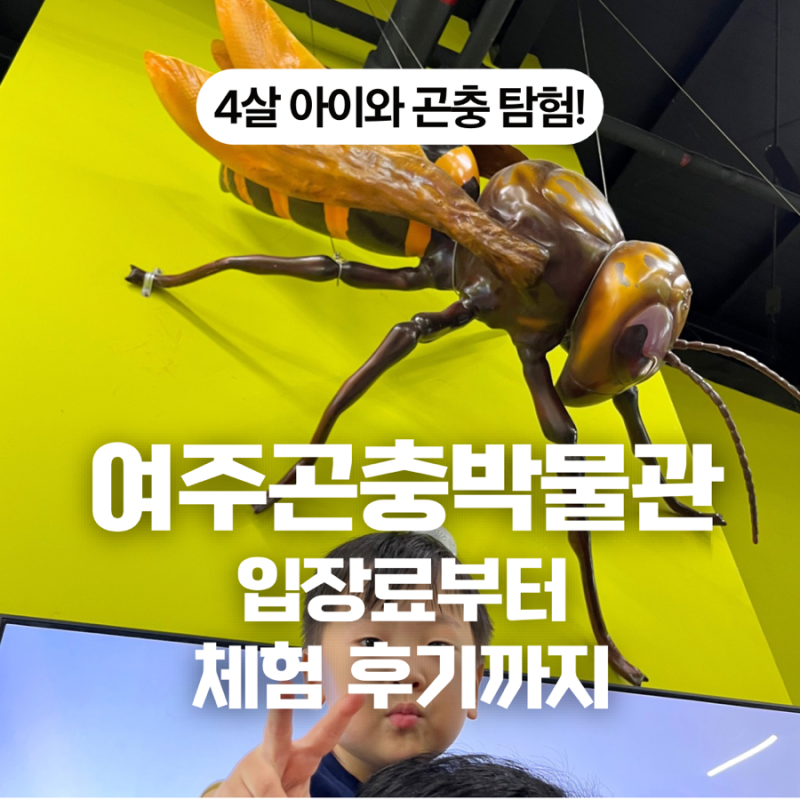 여주 아이와 가볼만한 곳｜여주곤충박물관 입장료·체험 패키지·장수풍뎅이 후기