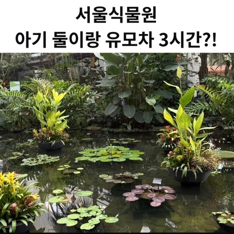 서울식물원 4개월·7개월 아기랑 3시간, 유모차·수유실 솔직 후기