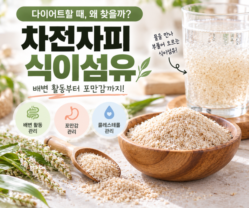 차전자피 식이섬유, 다이어트할 때 왜 찾을까? 포만감·배변 활동부터 추천 제품