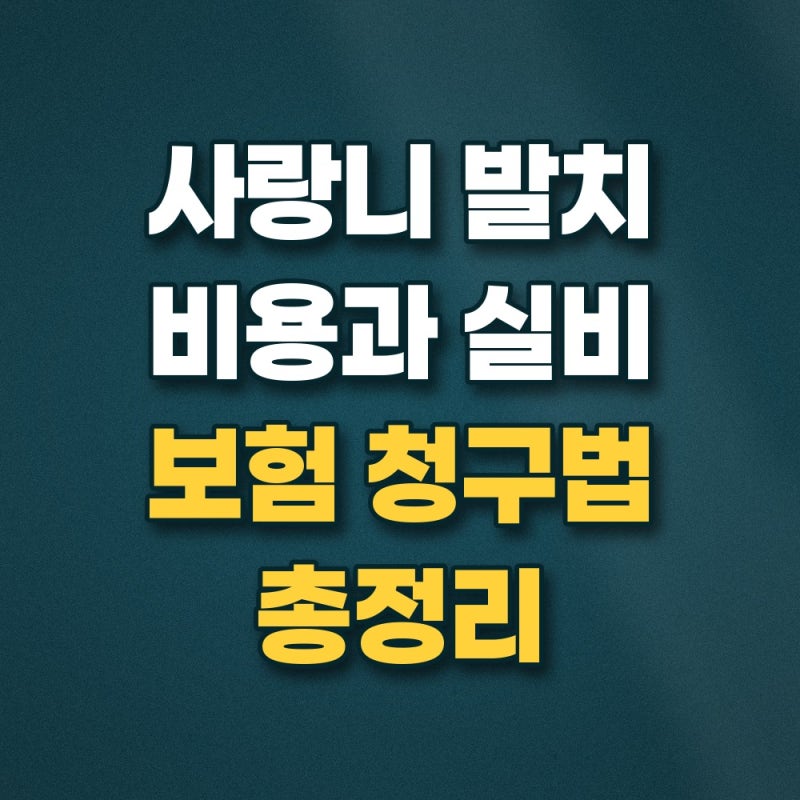 사랑니 발치 비용 실비 되나요 매복 정도별 건강보험 기준 및 청구 서류 총정리