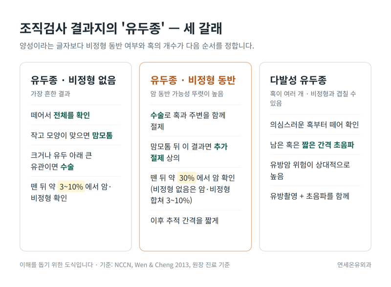 [검단 유방외과] 유두종(관내유두종)이라고 적힌 조직검사 결과지, 양성인데도 떼어서 확인....