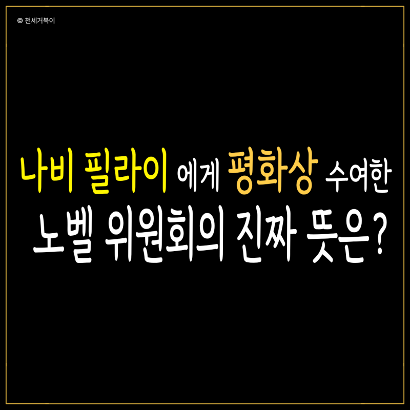 '그거 내꺼였는데..' 트럼프가 탐내던 노벨 평화상, 나비 필라이가 수상한 이유